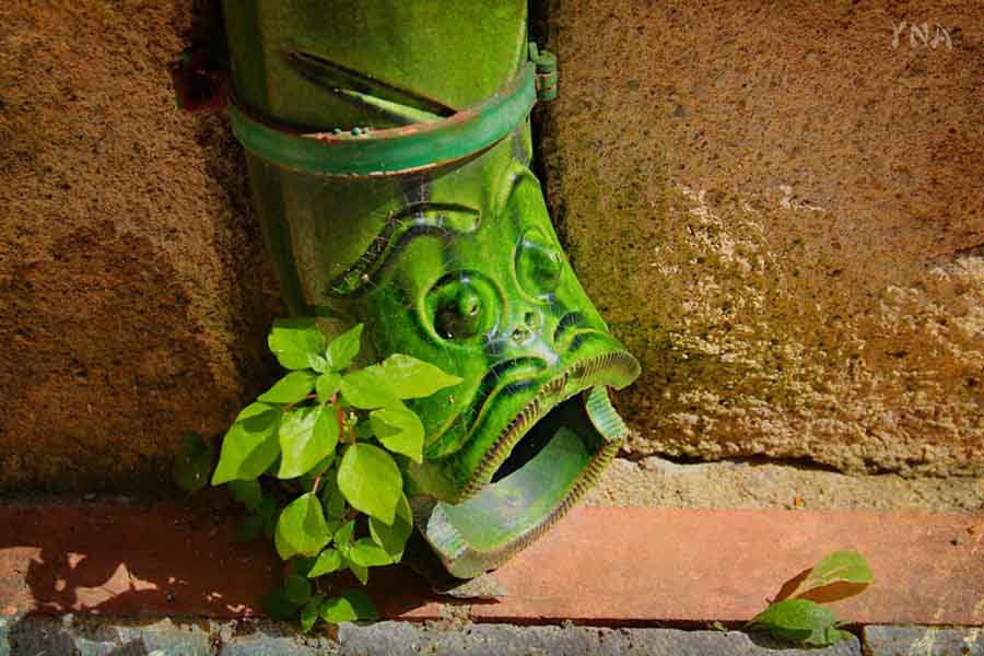 Gouttière bouchée : Les causes fréquentes